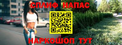 стафф Будённовск