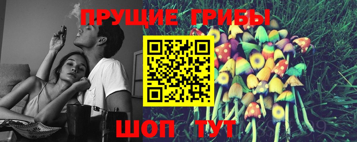 Галлюциногенные грибы Psilocybe  Вход с VPN  Луховицы 