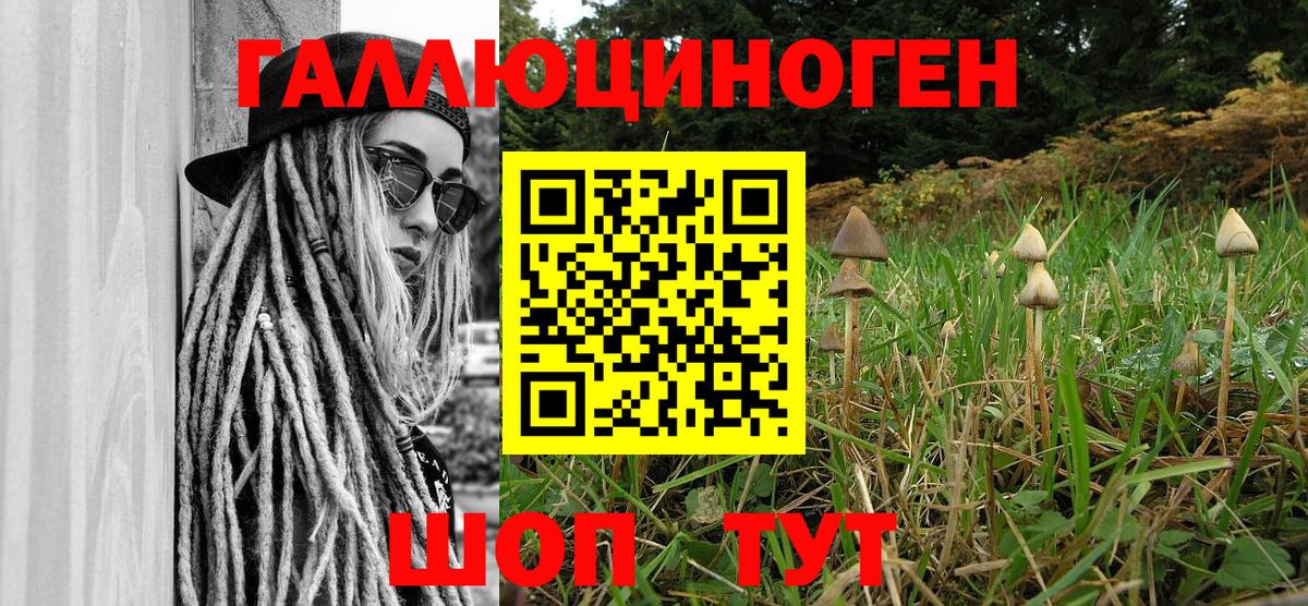 Галлюциногенные грибы Cubensis Луховицы